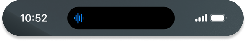 Shows PTT HUD=False 1