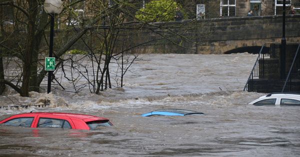 cars in flood